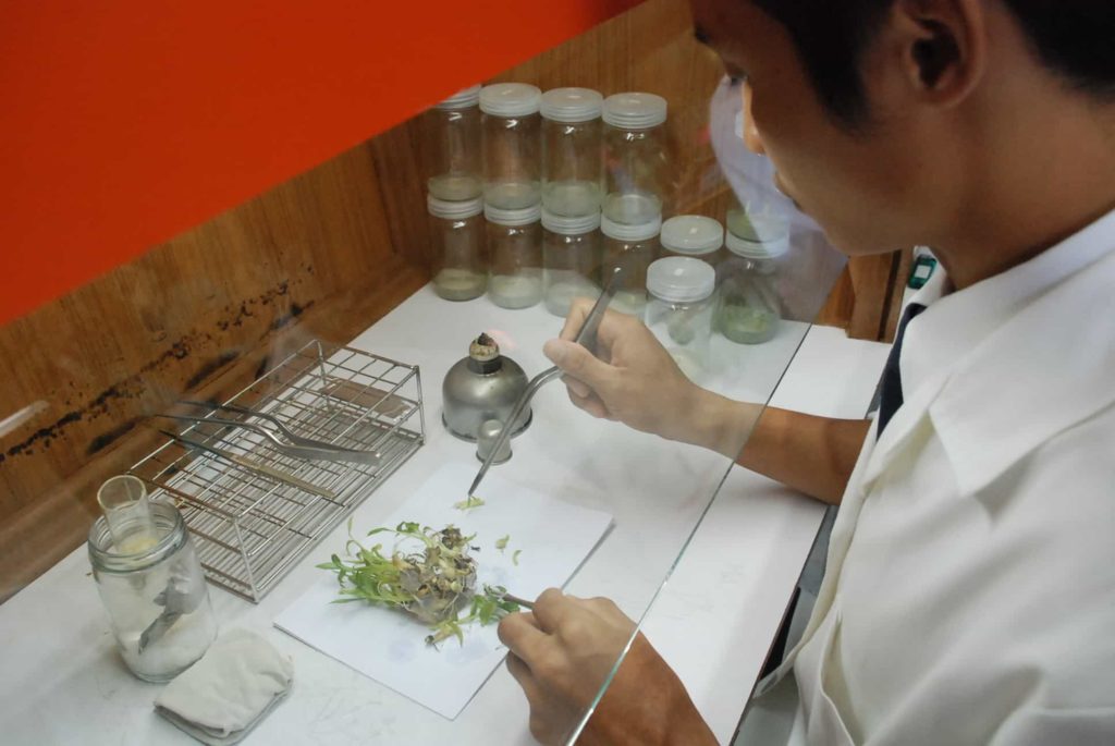 วท.บ.-เทคโนโลยีการจัดการผลิตพืช-1-1024x685.jpg