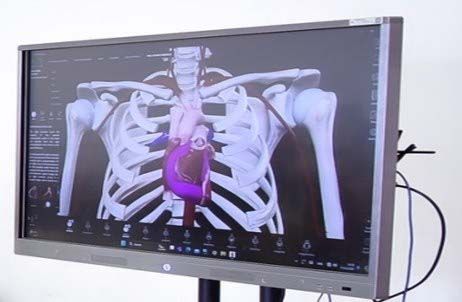 3d-anatomy_0.jpg