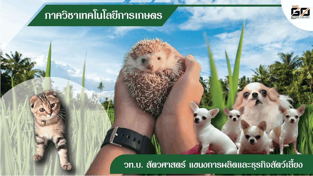 Picture1-1.png