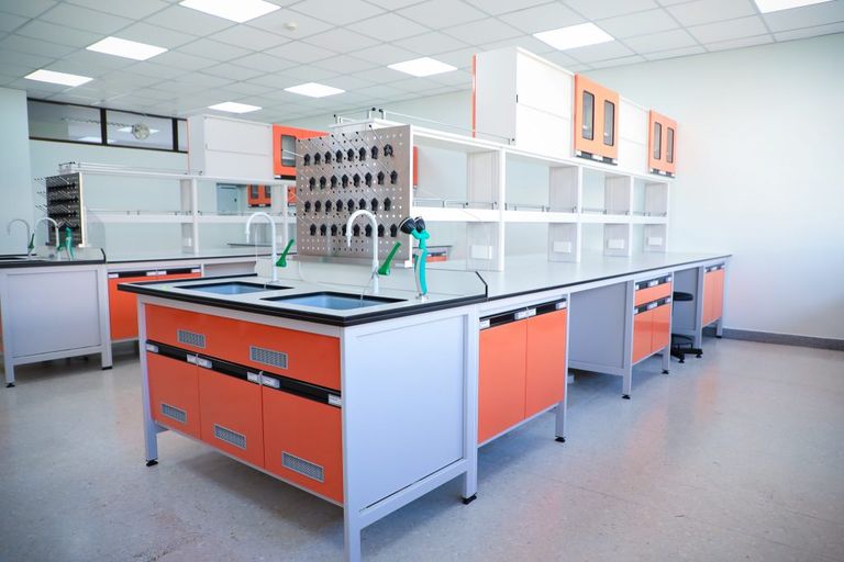 bio5-1024x683.jpg