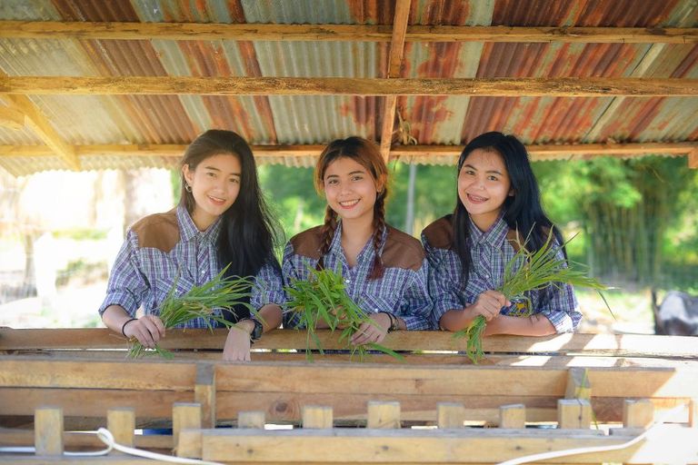 วท.บ.-สัตวศาสตร์-แขนงการผลิตและธุรกิจสัตว์เลี้ยง-3.jpg