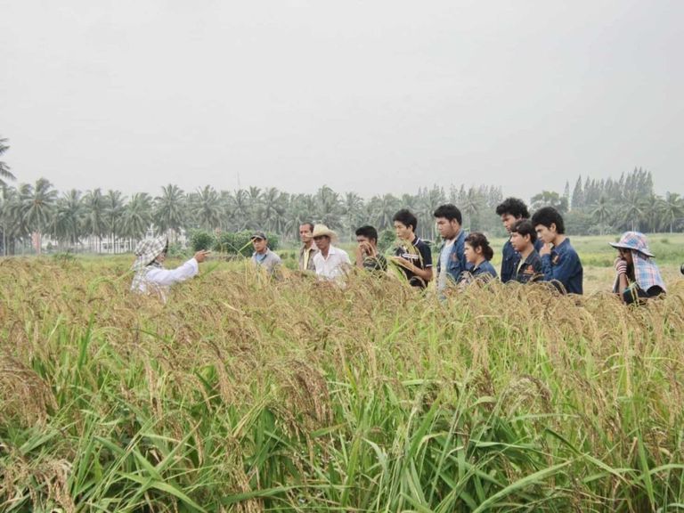 วท.บ.-เทคโนโลยีการจัดการผลิตพืช-2-1024x768.jpg